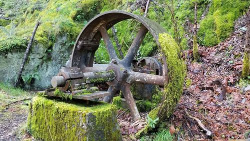 An old, rusted wheel partially covered in moss, surrounded by lush greenery and fallen leaves in a forest setting.