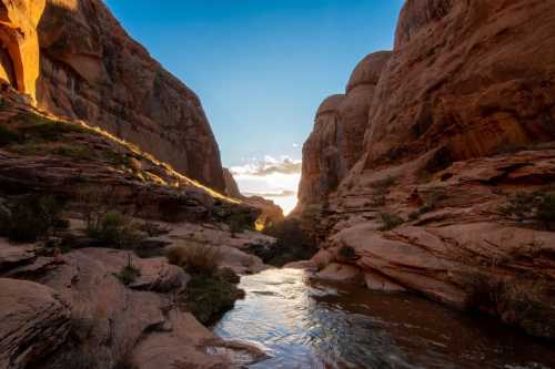 A serene canyon landscape with red rock formations and a winding stream under a clear blue sky at sunset.