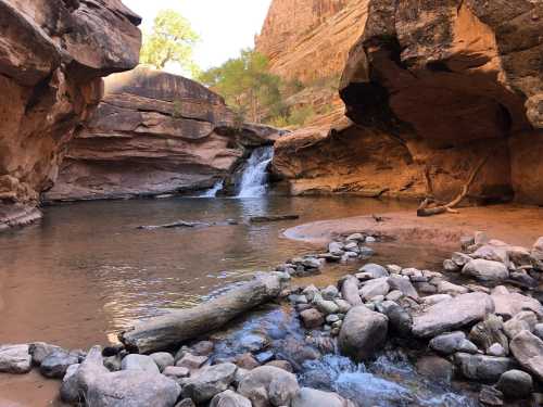 A serene natural scene featuring a small waterfall, rocky shore, and calm water surrounded by canyon walls and trees.