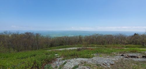 Panoramic view of a lush green landscape with distant hills under a clear blue sky. Rocky foreground with sparse trees.