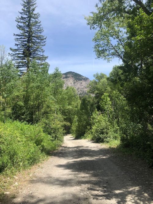 A dirt path winds through lush greenery, leading towards a mountain under a partly cloudy sky.