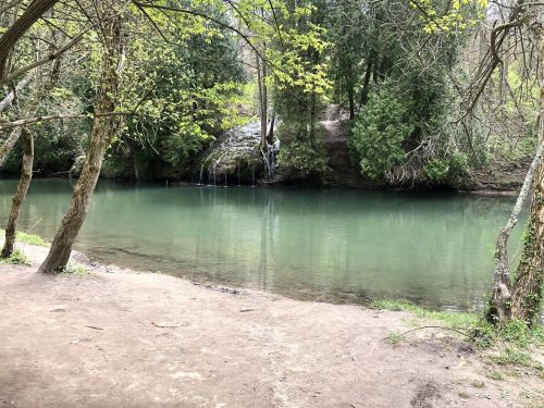 A serene river scene with clear water, surrounded by trees and a small waterfall in the background.