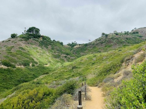 A winding dirt path through lush green hills under a cloudy sky.