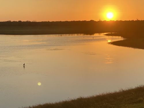 A serene sunset over a calm river, with a lone bird standing in the water and silhouettes of trees in the background.