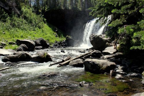 A serene waterfall cascades over rocks into a flowing river, surrounded by lush greenery and trees.