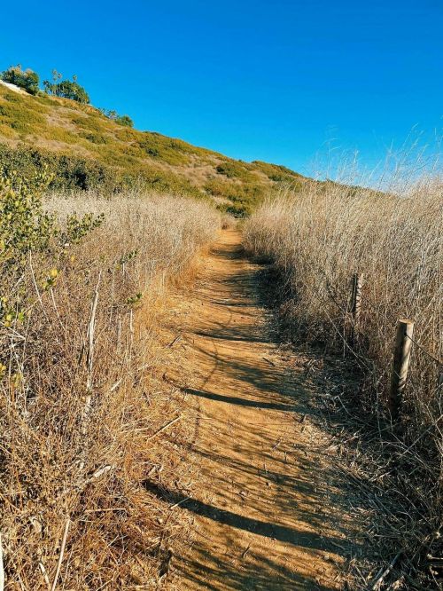 A dirt path winds through dry grass and shrubs under a clear blue sky, leading into a hilly landscape.