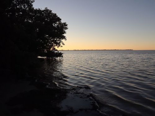 Silhouette of trees by a calm water body at sunset, with a gradient sky transitioning from orange to deep blue.