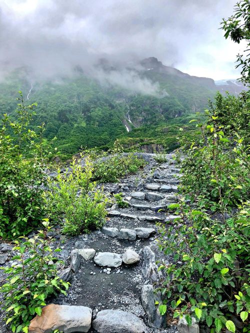 A rocky path winds through lush greenery, leading up a misty mountain with clouds hovering above.