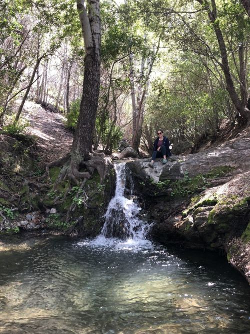 A serene forest scene with a small waterfall flowing into a clear pool, surrounded by lush greenery and a person sitting nearby.