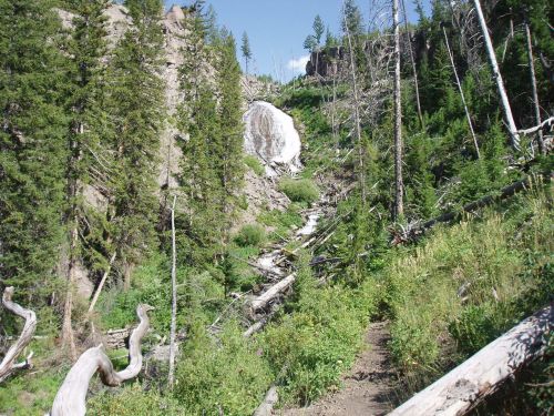 A scenic view of a waterfall cascading down rocky terrain, surrounded by lush greenery and fallen trees.