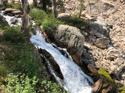 A rushing stream flows over rocks, surrounded by greenery and trees in a natural landscape.