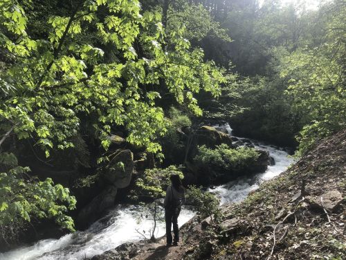 A person stands by a rushing river, surrounded by lush green trees and sunlight filtering through the leaves.