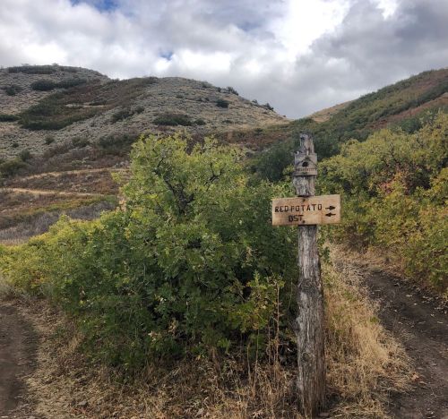A wooden signpost points towards "Red Potato Dist." amidst a hilly landscape with shrubs and cloudy skies.
