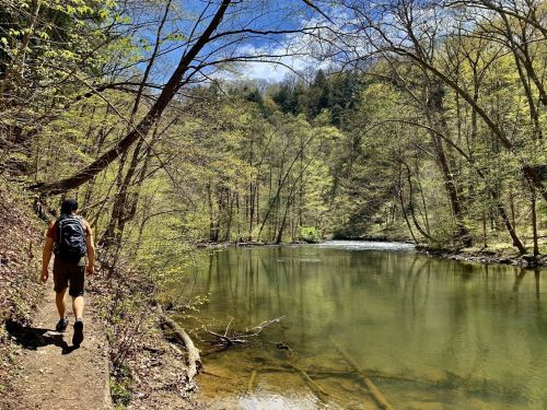 A hiker walks along a riverbank surrounded by lush greenery and trees under a bright blue sky.