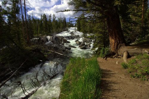 A rushing river flows through a forested area, with rocky banks and lush greenery under a partly cloudy sky.