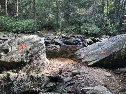 Two large rocks with orange arrows point towards a small stream in a lush, green forest.