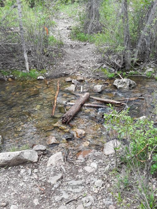 A small stream flows over rocks and logs, surrounded by greenery and a dirt path in a natural setting.