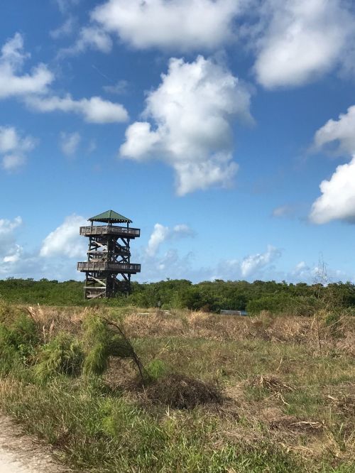 A wooden observation tower stands in a grassy area under a blue sky with fluffy clouds.