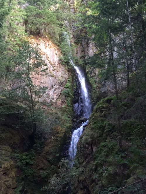 A serene waterfall cascading down rocky cliffs, surrounded by lush green trees and mossy terrain.