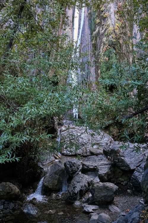A serene waterfall cascades down rocky cliffs, surrounded by lush greenery and tranquil water pools.