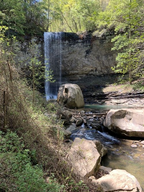 A serene waterfall cascades down a rocky cliff, surrounded by lush greenery and large boulders in a tranquil forest setting.