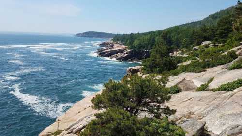 A scenic view of rocky coastline with lush green trees and blue ocean under a clear sky.