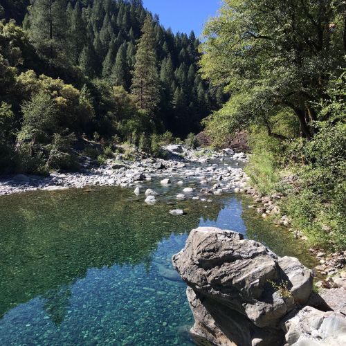 A serene river flows through a forested landscape, with clear water and smooth stones under a bright blue sky.