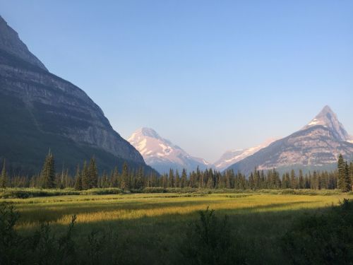 A serene landscape featuring mountains, a clear sky, and a lush green meadow in the foreground.