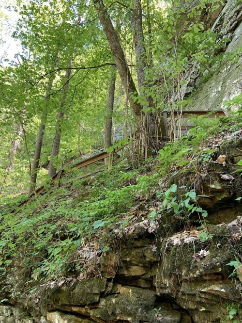 A rocky hillside covered in green foliage and trees, with a wooden railing visible in the background.