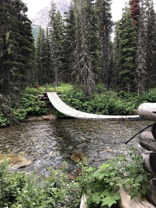A wooden bridge arches over a clear stream, surrounded by lush green trees and rocky terrain.