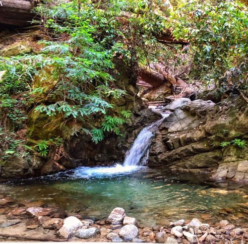 A serene waterfall cascades over rocks into a clear pool, surrounded by lush greenery and natural textures.