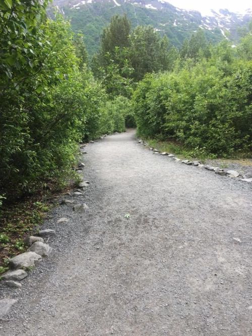 A gravel path winding through lush greenery, surrounded by trees and mountains in the background.