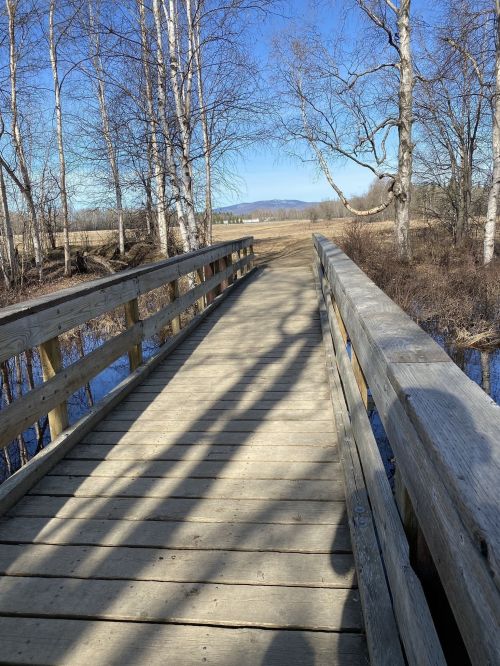 A wooden bridge stretches over a calm area, surrounded by trees and open fields under a clear blue sky.