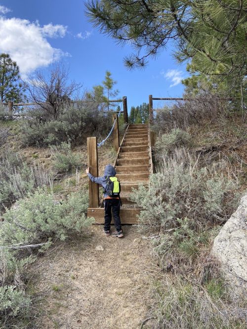 A child in a hoodie stands at the base of wooden stairs leading up a hillside, surrounded by shrubs and trees.
