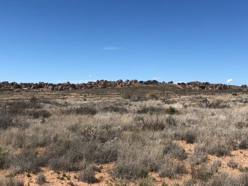 A vast landscape featuring dry grass, scattered shrubs, and a rocky formation under a clear blue sky.