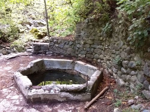 An octagonal stone well surrounded by greenery and a rocky wall in a forested area.