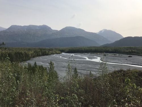 A serene landscape featuring a winding river surrounded by lush greenery and mountains in the background under a hazy sky.