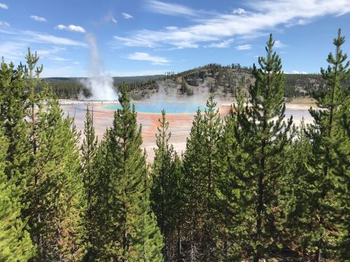A vibrant geothermal pool surrounded by trees, with steam rising and colorful mineral deposits visible in the water.