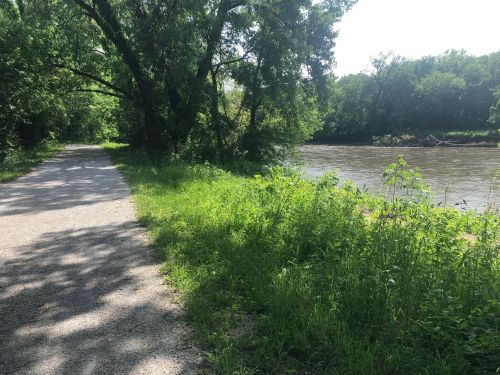 A gravel path lined with greenery next to a river, surrounded by trees under a bright sky.