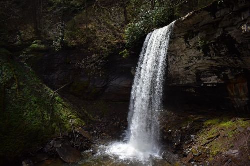 A serene waterfall cascading over rocky cliffs, surrounded by lush greenery and moss-covered stones.