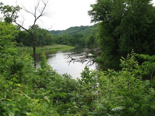 A serene river scene surrounded by lush greenery and trees, with gentle hills in the background under a cloudy sky.