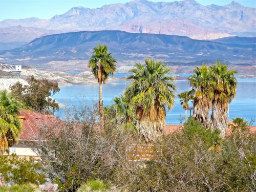 Scenic view of palm trees in the foreground with mountains and a lake in the background under a clear blue sky.