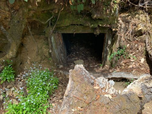 An overgrown entrance to a dark, small cave or mine, surrounded by foliage and wildflowers.