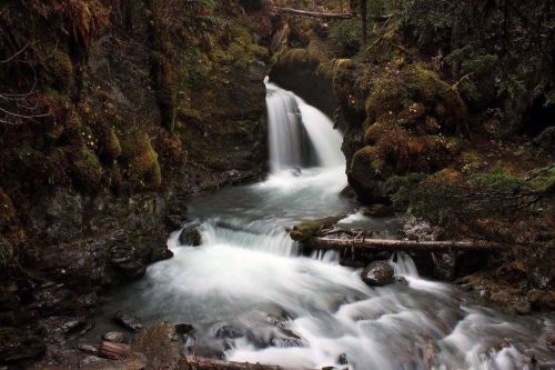 A serene waterfall cascades over rocks, surrounded by lush greenery in a tranquil forest setting.