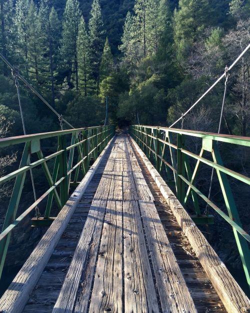 A wooden suspension bridge stretches over a forested area, surrounded by tall green trees and a serene landscape.