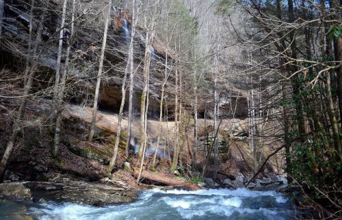 A flowing river surrounded by trees and rocky cliffs, with a serene natural landscape in the background.