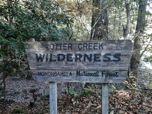 Wooden sign for Otter Creek Wilderness in Monongahela National Forest, surrounded by trees and autumn foliage.