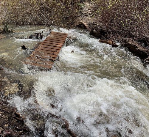 A small wooden bridge partially submerged in a rushing stream, surrounded by rocky banks and sparse vegetation.