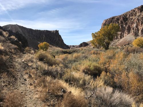 A scenic landscape featuring a winding trail between rocky cliffs and vibrant autumn foliage.