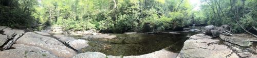 A serene forest scene featuring a rocky riverbank surrounded by lush greenery and calm water.
